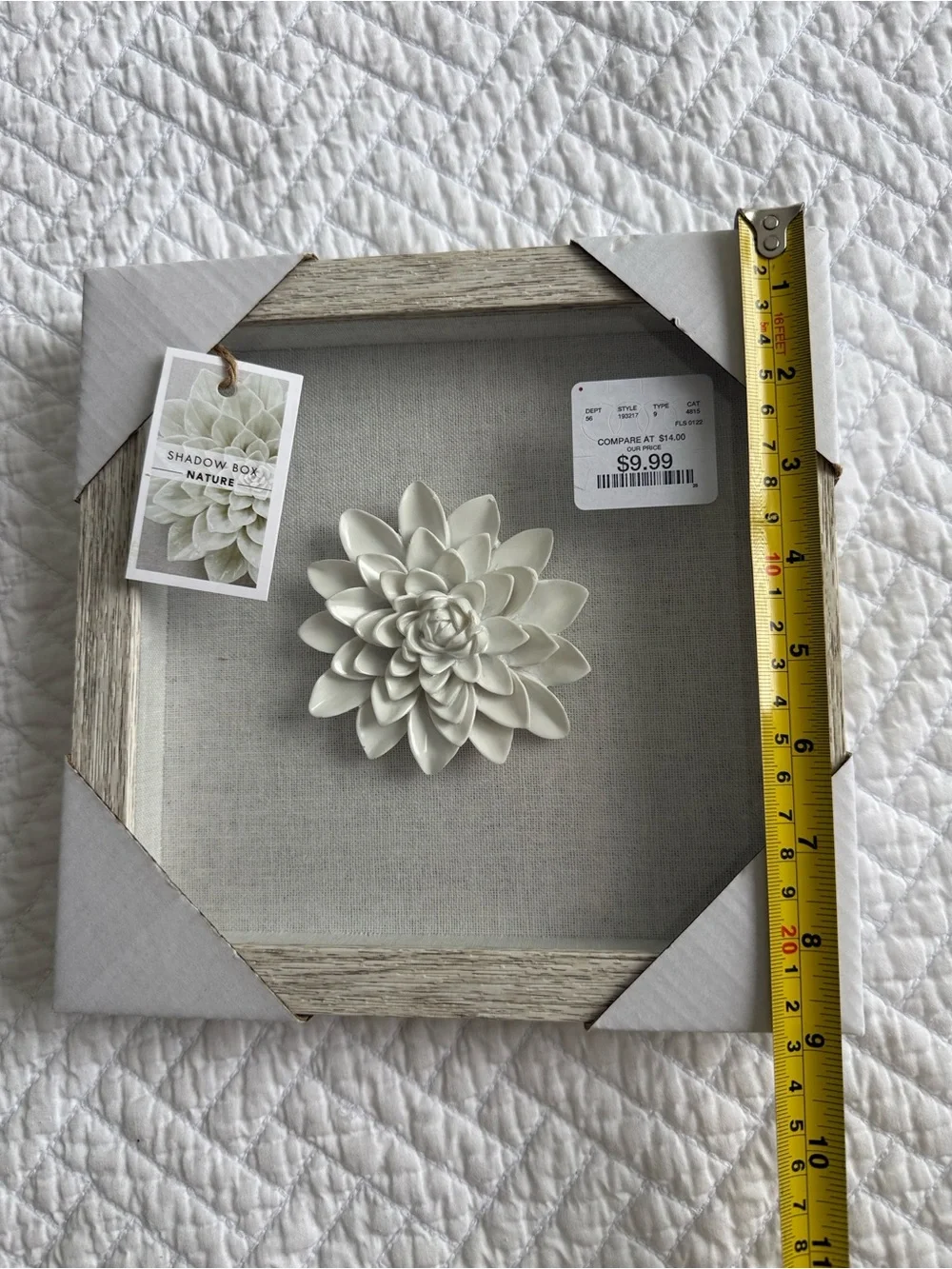 Nature  “Shadow Box “Ceramic Succulent Wall Art - White